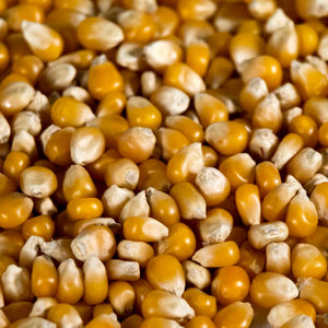 Mushroom Popcorn Kernels - Uncle Bob's Popcorn